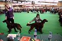 Crufts2011 204